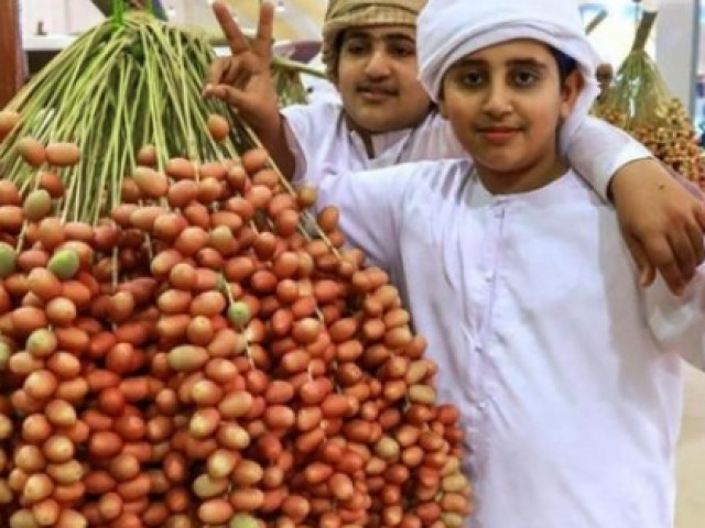 Loại quả giới nhà giàu Dubai ăn mỗi ngày từng được trồng ở Việt Nam?
