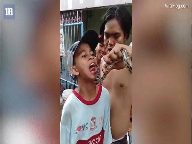 Video: ”Nghịch dại” với trăn khủng, cậu bé Indonesia suýt bị đớp mất lưỡi