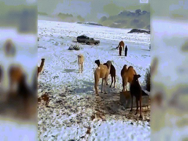 Video hiếm: Tuyết rơi phủ trắng góc sa mạc Sahara