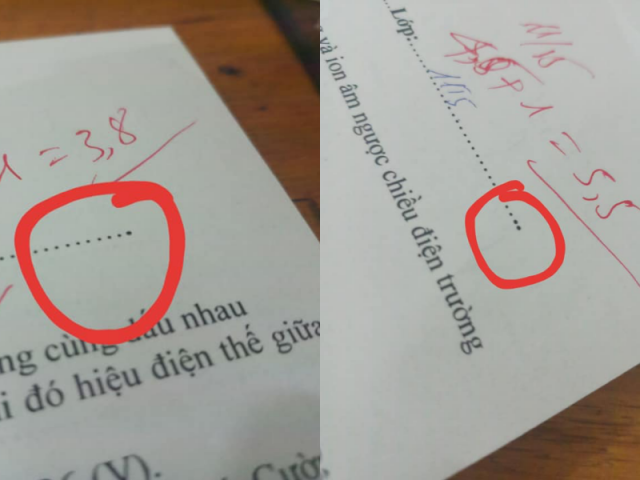 Cách đánh mã đề “bá đạo” của thầy cô: Một chấm là say đắm, hai chấm là đắm say, ba chấm là khỏi nhìn bài