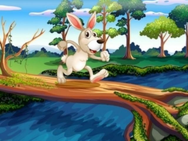 Vật vã tìm lời giải cho câu đố thỏ sang sông