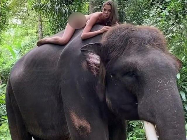 Nữ người mẫu bị chỉ trích vì khỏa thân trên lưng voi