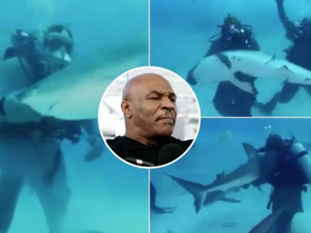 Mike Tyson xuống biển bơi với cá mập: Sư tử hung dữ bỗng như thỏ đế
