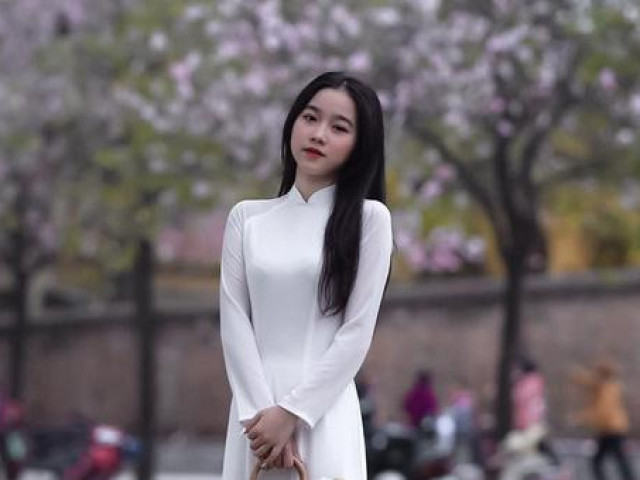 Hà Nội: Hoa ban nở rộ, giới trẻ đua nhau ”khoe sắc” trên phố Bắc Sơn, Hoàng Diệu