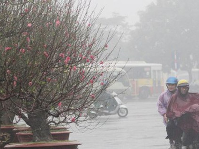 Khẩn trương ứng phó với dông lốc, mưa đá dịp Tết Nguyên đán này