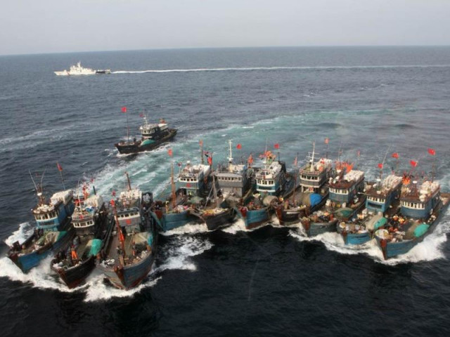 Chuyên gia: Báo động nguồn cá tại Biển Đông trước các đội tàu cá Trung Quốc