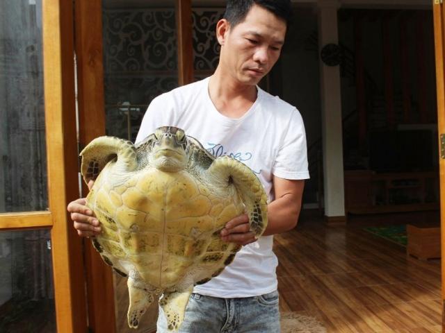 Bỏ 5 triệu đồng mua rùa biển, người đàn ông bất ngờ với thứ mình mua được