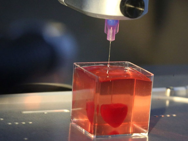 Sốc: Trái tim đầu tiên được in 3D bằng tế bào của chính bệnh nhân