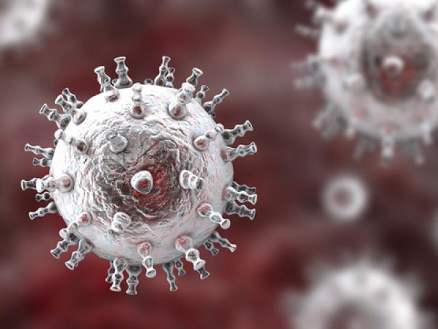 2 virus bệnh tình dục ”giao phối”, đe dọa sinh ra siêu bệnh mới