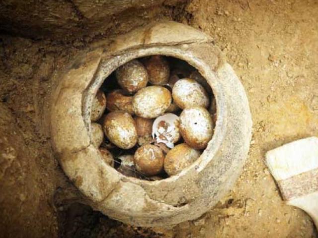 Phát hiện những quả trứng 2.500 tuổi còn nguyên vẹn trong mộ cổ