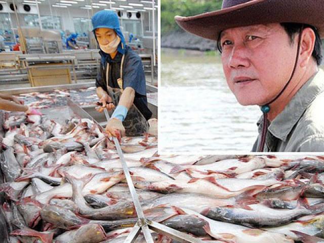 Hùng Vương của ông Dương Ngọc Minh gánh nợ 3.000 tỷ và lỗ luỹ kế gần 400 tỷ vì thuế