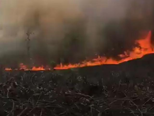 Nắng nóng đổ lửa, cháy rừng liên tiếp ở TT-Huế