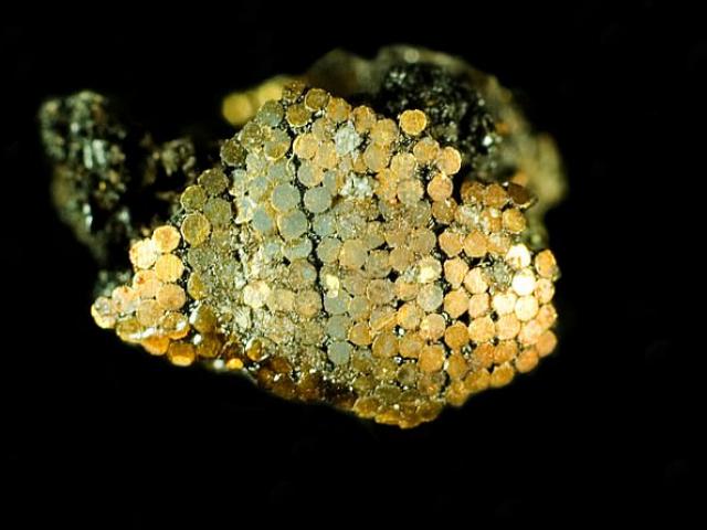 Con dao găm 4.000 năm tuổi đính 140.000 hạt vàng, tinh xảo đến mức khó hiểu