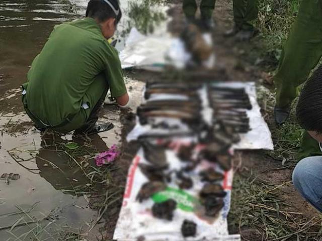 Phát hiện 4 bộ xương người ở gần bờ sông Sài Gòn