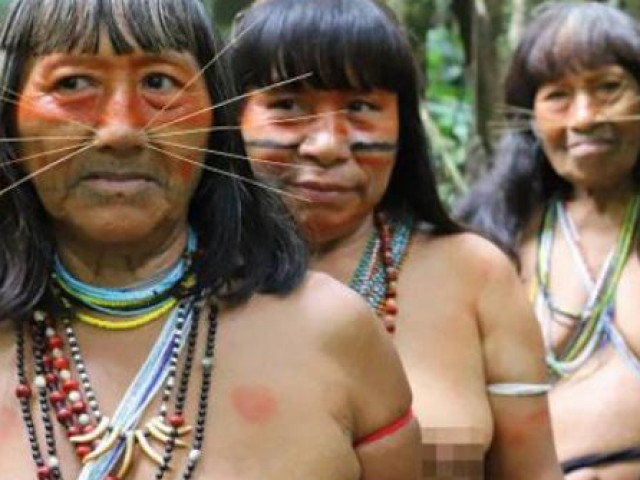 Bên trong bộ lạc sống giữa rừng Amazon, phụ nữ để ngực trần mơn mởn và xỏ mũi như mèo