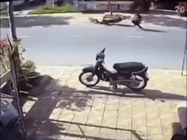 Clip: Chó chạy băng qua đường khiến hai xe máy gặp nạn