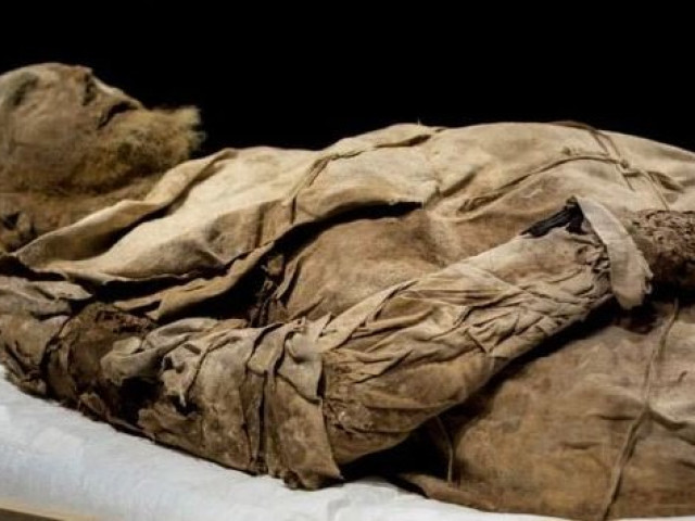 Bí ẩn bào thai giấu giữa 2 chân xác ướp vị giám mục ở thế kỷ 17