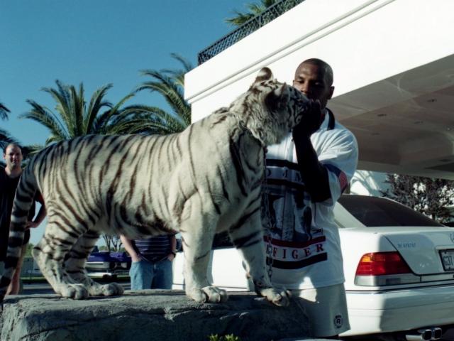 Mike Tyson ngông cuồng nuôi hổ làm “thú cưng”, ngủ với hổ và vào viện vì bị cắn