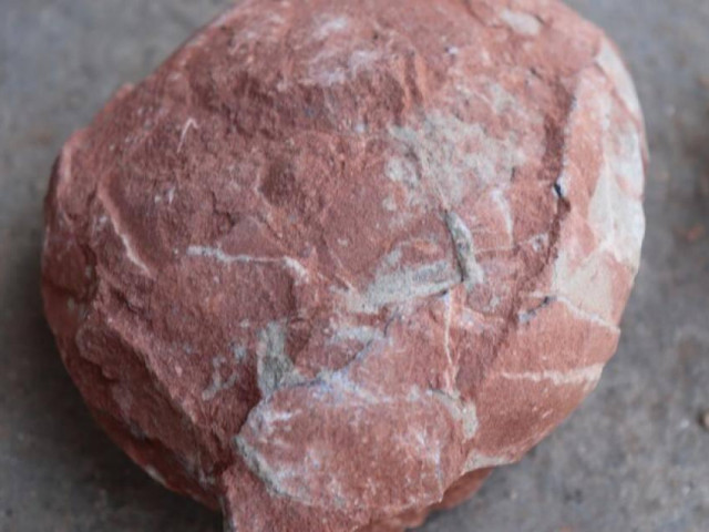Trung Quốc tuyên bố tìm thấy 10 quả trứng khủng long từ thời kỷ Phấn trắng