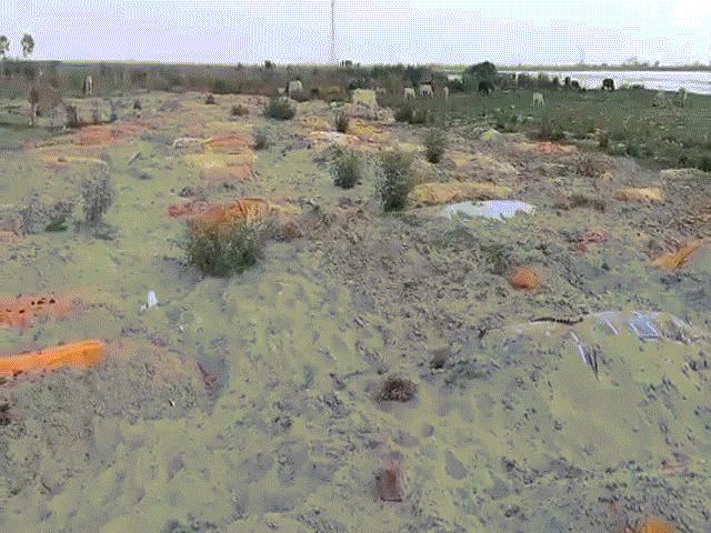 Video: Chưa vớt hết thi thể trôi ở sông Hằng, lại phát hiện ”nghĩa địa” mới