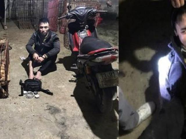 Phá băng trộm chó ”khét tiếng” gây náo loạn ở Quảng Bình
