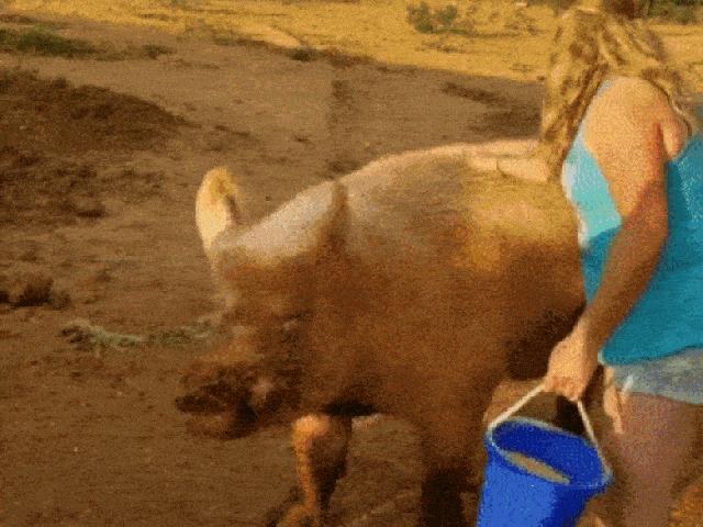 Hậu quả tái tê của những con người có đam mê... thể hiện