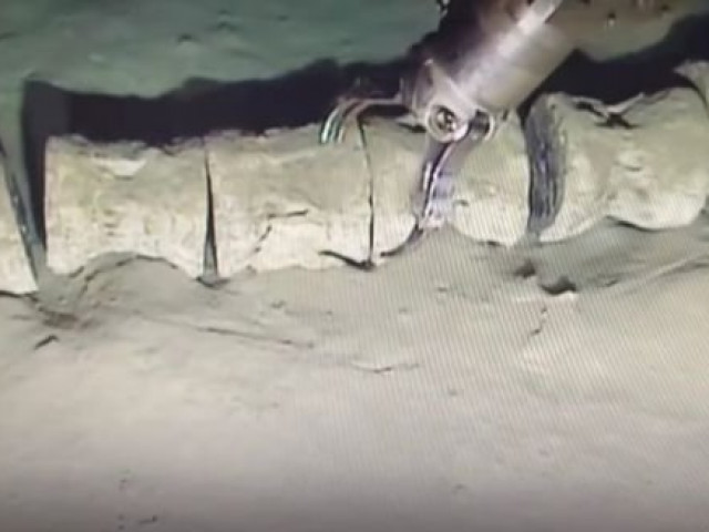 Tìm thấy hài cốt quái vật biển bí ẩn dài tới hơn 30m