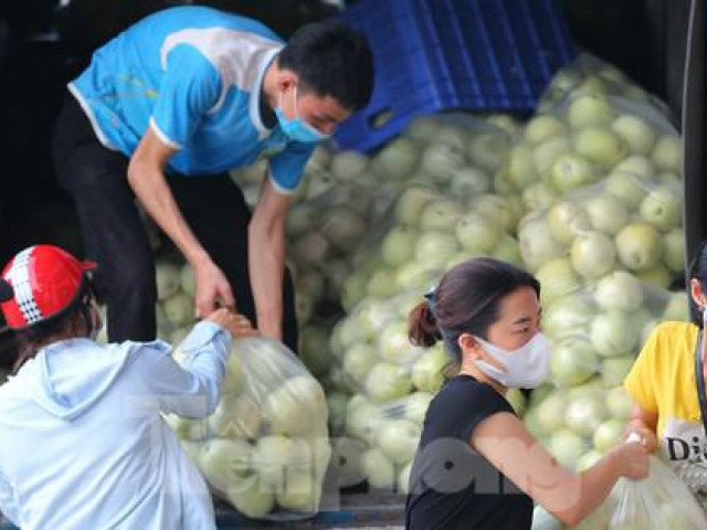 Người dân thủ đô chung tay giúp bà con Bắc Giang tiêu thụ dưa lê