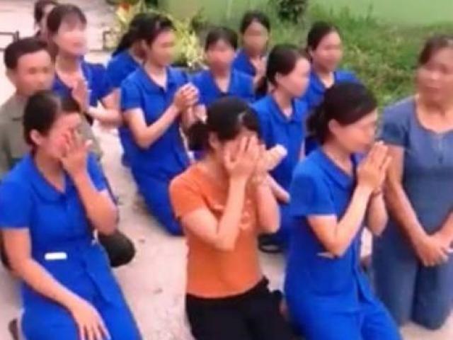 Kỷ luật hàng loạt cán bộ vụ các cô giáo quỳ khóc xin dạy học