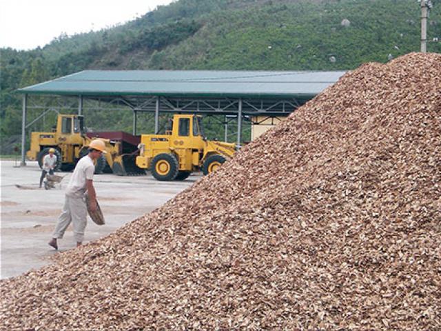 Xuất khẩu dăm gỗ: Số 1 thế giới vẫn không “quyết” nổi thị trường