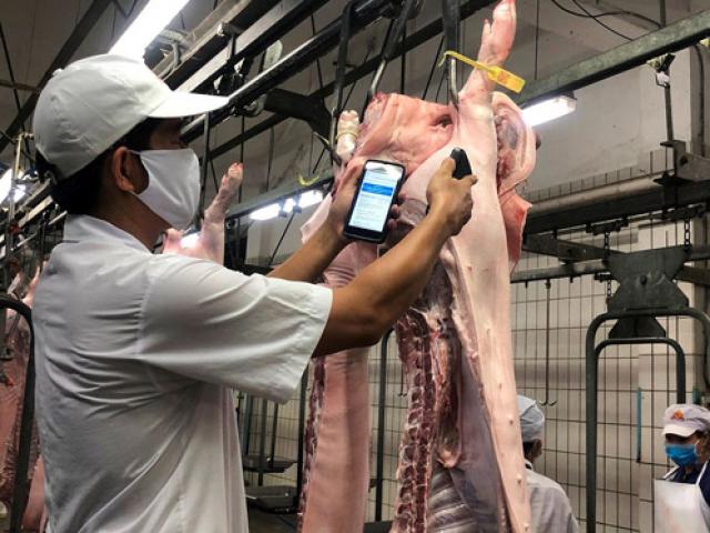 Thịt lợn nhập có giá 30.000 đồng/kg: Ngành chăn nuôi sắp vỡ trận