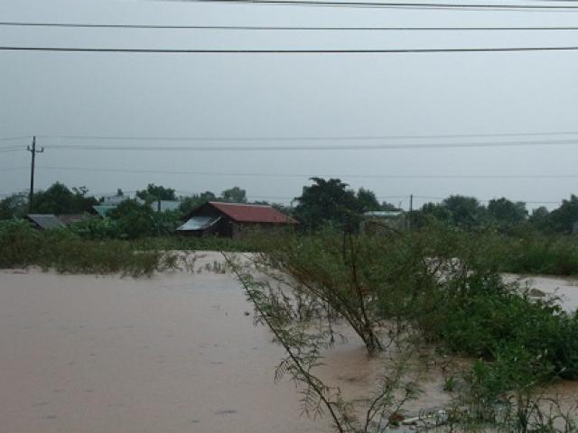 Mưa lớn, hàng trăm nhà dân ở Đắk Lắk bị nước nhấn chìm