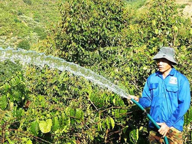 Nguy cơ lao động Việt Nam thua trên ”sân nhà”