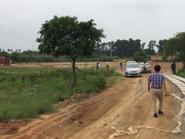 Nở rộ tình trạng dự án “ảo” phân lô bán nền vùng ngoại thành Hà Nội