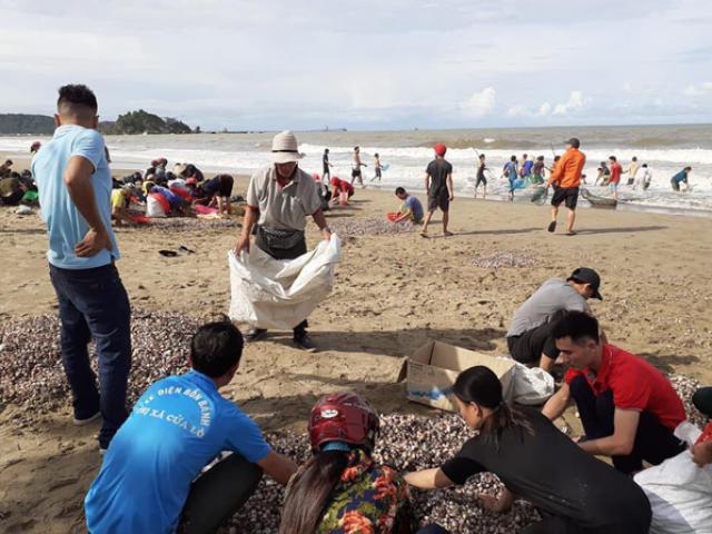 “Lộc biển” dạt đầy bờ sau bão, người dân Cửa Lò được dịp no nê