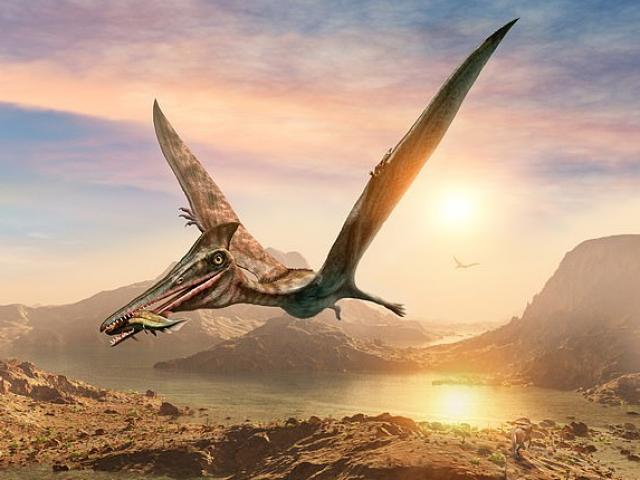 Phát hiện về loài “khủng long bạo chúa trên không” to như máy bay hiện đại
