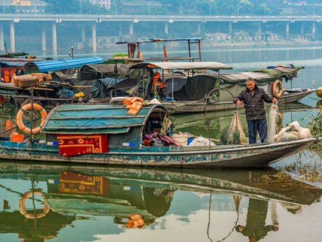 Hơn 30 vạn người mất việc do lệnh cấm đánh cá sông Dương Tử, TQ xử lý ra sao?