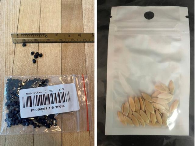 Mỹ: Tìm ra ”chân tướng” những gói hạt giống bí ẩn gửi từ Trung Quốc?