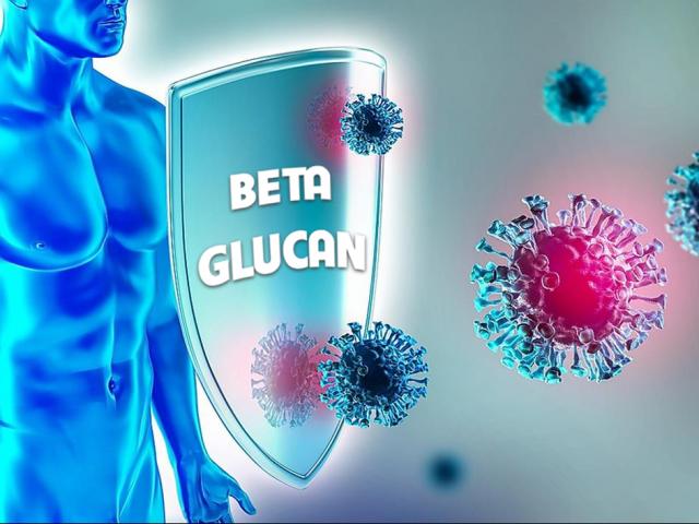 BETA GLUCAN – Hoạt chất kích hoạt hệ miễn dịch tự nhiên, tăng đề kháng vượt trội