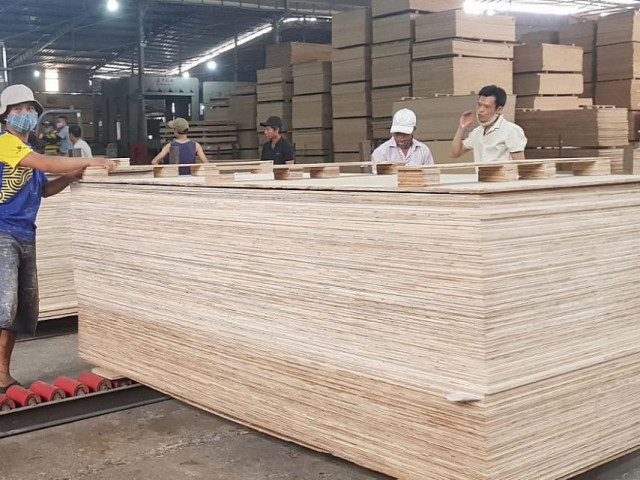 Ngăn chặn hành vi đưa gỗ Trung Quốc sang Việt Nam ”rửa” xuất xứ, bán sang Mỹ