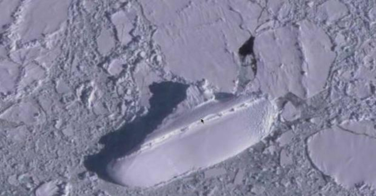 Đồn đoán kỳ lạ về 'con tàu băng' bí ẩn ở ngoài khơi Nam Cực