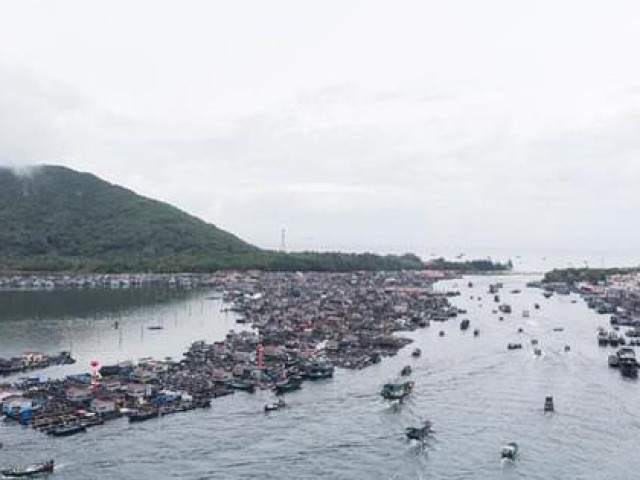 16.700 tàu cá Trung Quốc được cởi trói, sắp tràn xuống biển Đông