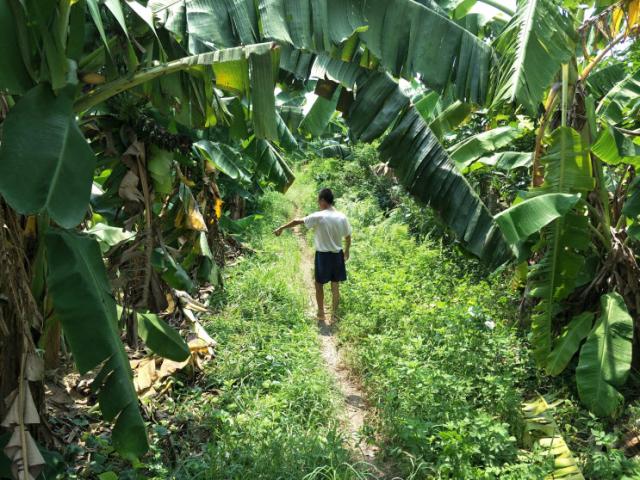 Bắt ”yêu râu xanh” hiếp dâm bé gái 12 tuổi trong vườn chuối ở Hà Nội