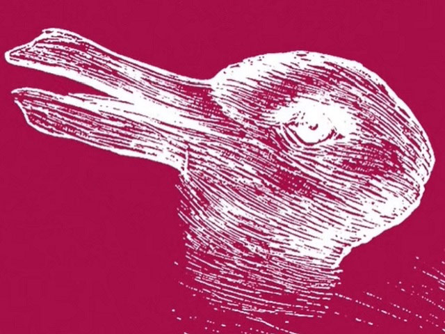 Quiz: Bạn thuận não trái sẽ nhìn thấy con thỏ, thế còn não phải thì sao?