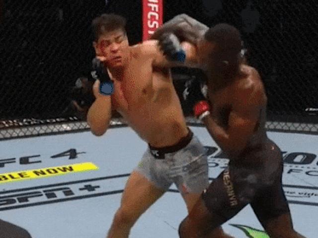 Võ sĩ UFC tung một hơi 12 cú đấm hạ knock-out đối thủ