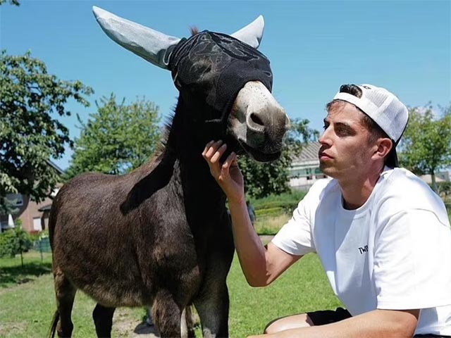 Dàn SAO Italia ăn chơi tưng bừng hậu EURO, kỳ dị Havertz nghỉ hè với… con lừa