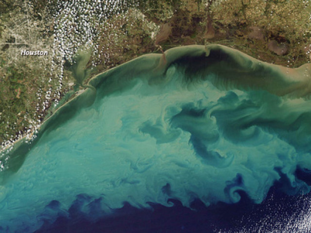 Biển ”địa ngục” đang lan rộng ở Mỹ, sinh vật bơi vào là chết