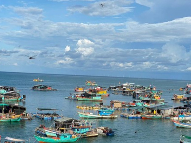 Hàng trăm tấn cá lồng bè ở Kiên Giang ''nghẽn'' đầu ra do dịch COVID-19