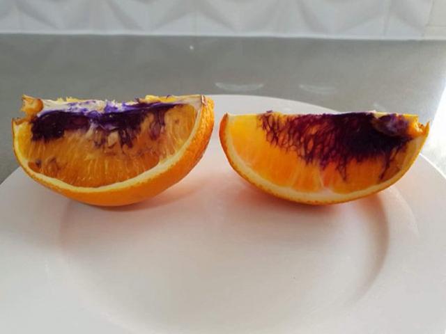 Bà mẹ trẻ hốt hoảng vì quả cam tươi ngon bỗng chuyển màu như đổ thuốc nhuộm