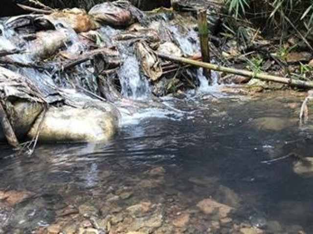 Người đàn bà bí ẩn đứng sau vụ đổ chất thải đầu độc nguồn nước sông Đà